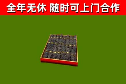 佳木斯烟酒回收海参.jpg